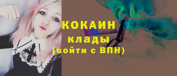 тгк Абаза