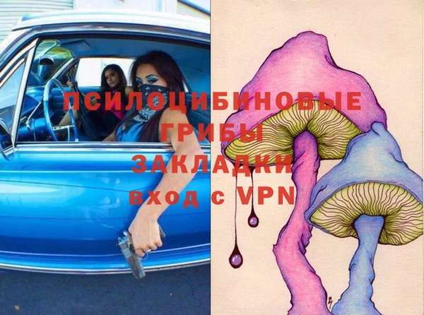 мдпв Алексин