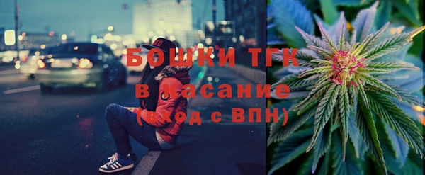 тгк Абаза